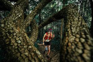 BIB: 
                            <button type="button" onclick="openModal(25670892)" class="btn btn-primary btn-sm float-right btn-popup" data-toggle="modal" data-target=".modal-high-quality">
                        <i class="fas fa-shopping-cart"></i> Add to Cart
                    </button>
                                            <button type="button" onclick="isThisMe(25670892, true)" class="btn btn-success btn-sm float-right btn-popup btn-isme hidden" data-toggle="tooltip" data-placement="bottom" title="นี่คือรูปของคุณใช่ไหม คลิกที่นี่เพื่อเอาเข้าอัลบั้ม">
                        <i class="fas fa-plus"></i> Add to album
                    </button>
                    <button type="button" onclick="isThisMe(25670892, false)" class="btn btn-warning btn-sm float-right btn-popup btn-isnotme hidden">
                        <i class="fas fa-ban"></i> Remove from album
                    </button>